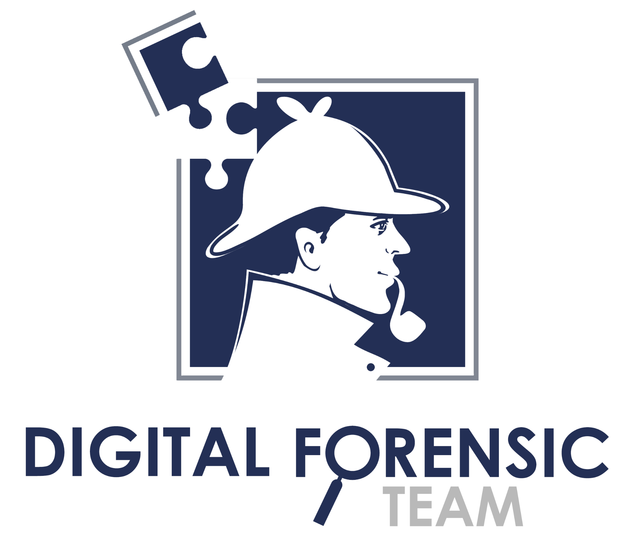 Digital Forensic Team